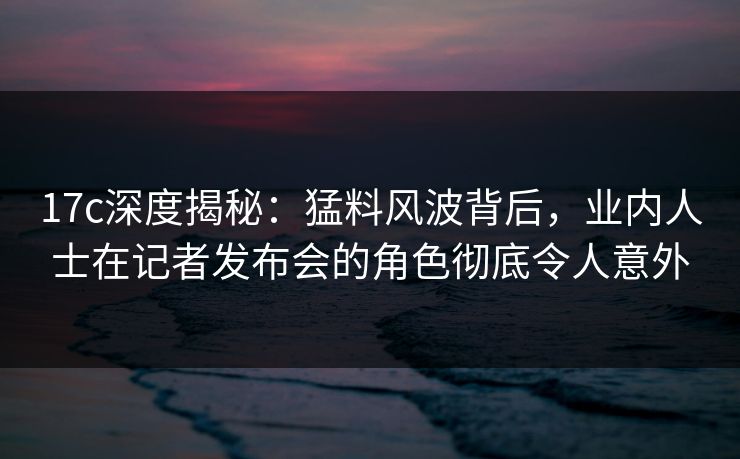 17c深度揭秘：猛料风波背后，业内人士在记者发布会的角色彻底令人意外