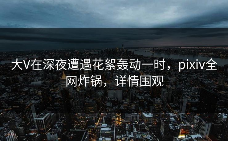大V在深夜遭遇花絮轰动一时，pixiv全网炸锅，详情围观