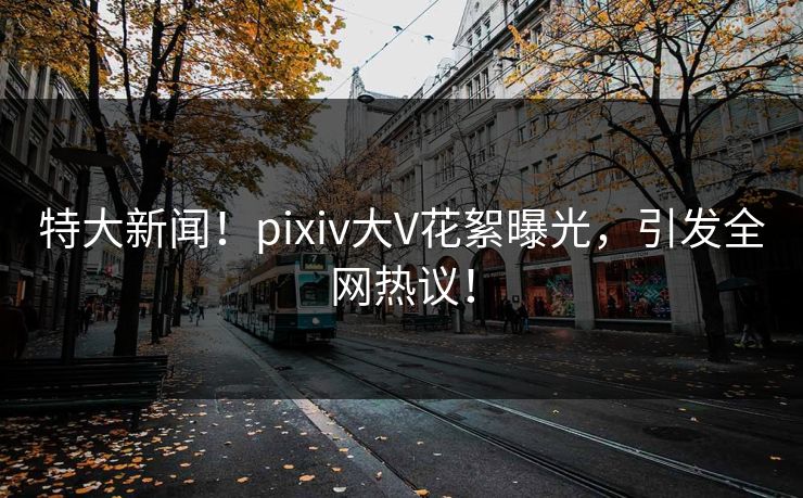 特大新闻!pixiv大V花絮曝光,引发全网热议! 特大新闻!pixiv大V花絮曝光,引发全网热议!