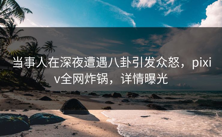 当事人在深夜遭遇八卦引发众怒，pixiv全网炸锅，详情曝光