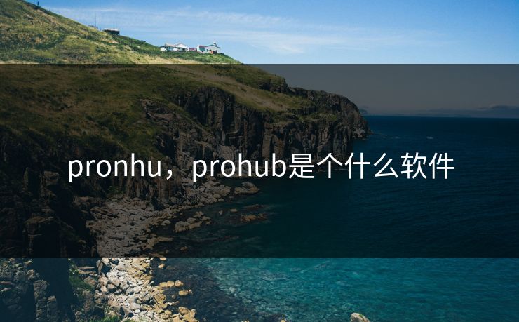 pronhu，prohub是个什么软件
