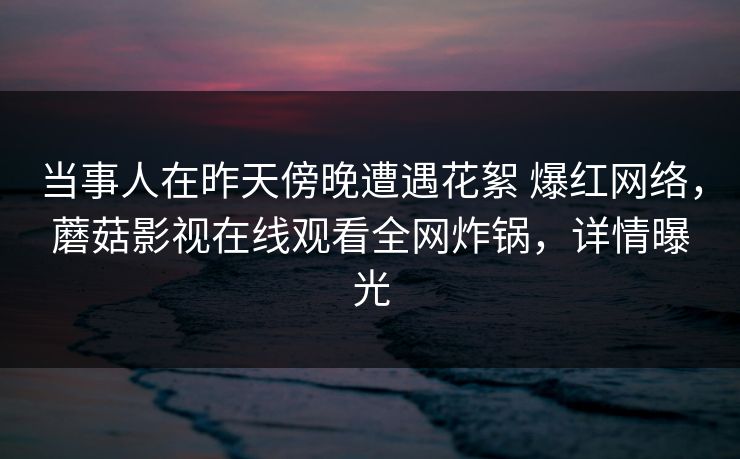 当事人在昨天傍晚遭遇花絮 爆红网络，蘑菇影视在线观看全网炸锅，详情曝光