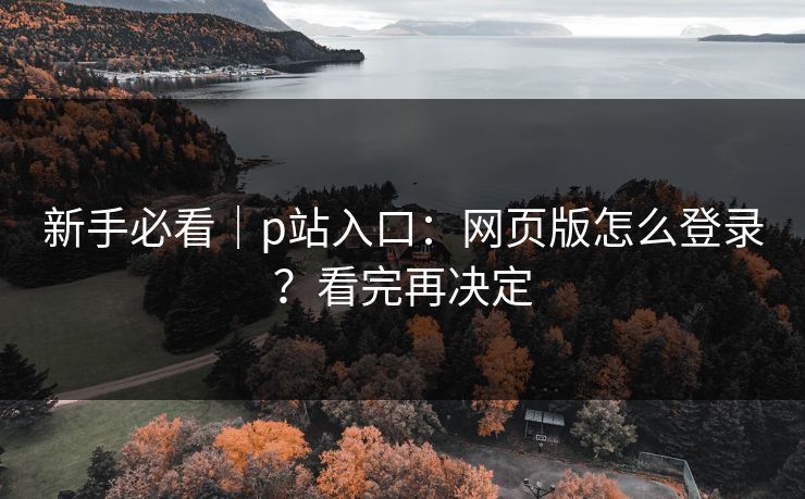 新手必看｜p站入口：网页版怎么登录？看完再决定